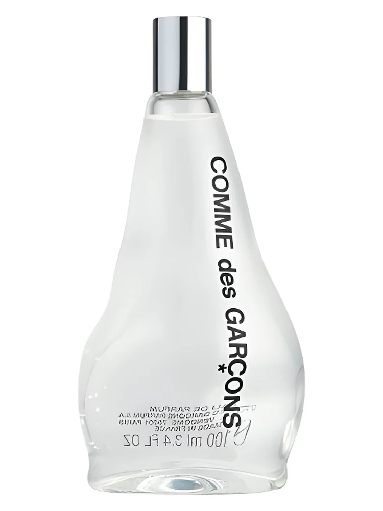 Comme Des Garcons 2011 Perfume