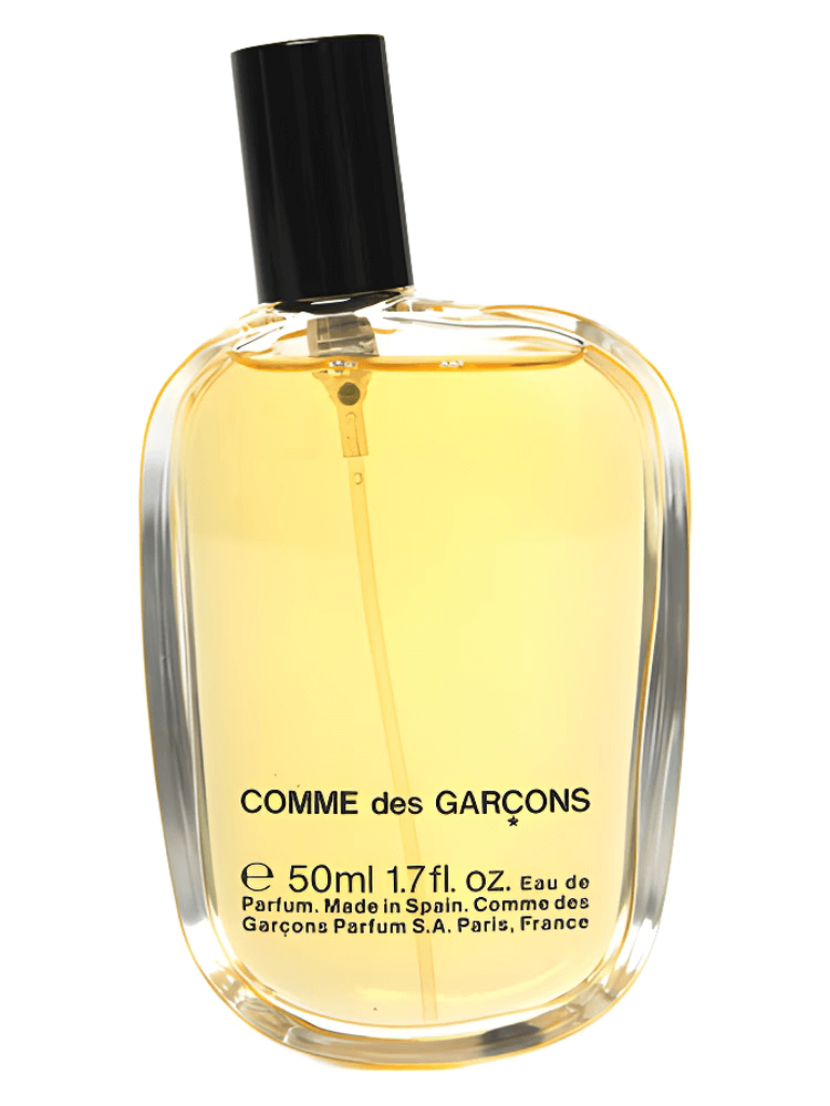 Comme des Garcons Parfum